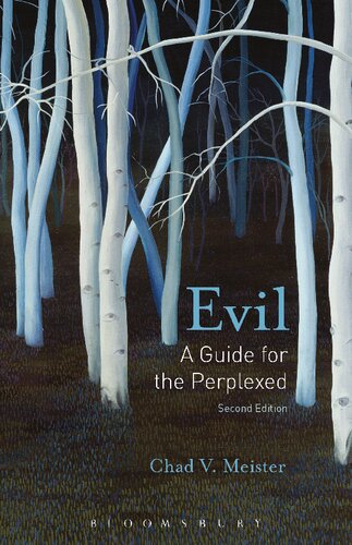 Evil A Guide For The Perplexed Chad V Meister
