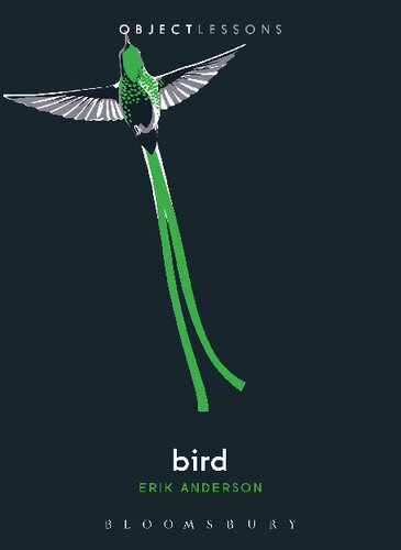 Bird Erik Anderson
