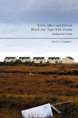 Form Affect And Debt In Postceltic Tiger Irish Fiction Ireland In Crisis Dr Ein Flannery