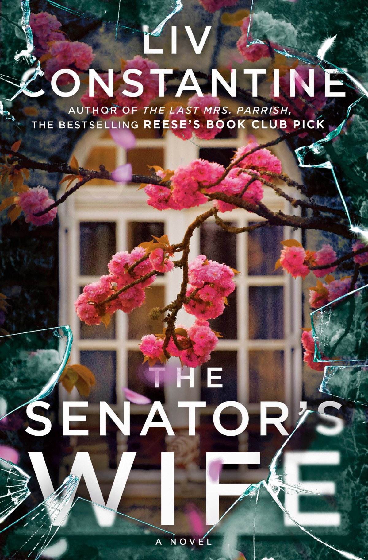The Senators Wife Liv Constantine