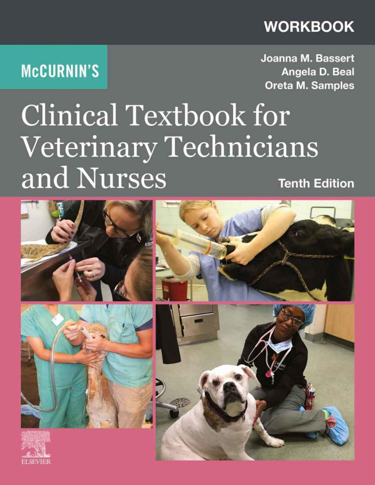 Workbook For Mccurnins Clinical Textbook For Veterinary Technicians And Nurses 10th Edition Bassert Joanna M Thomas John