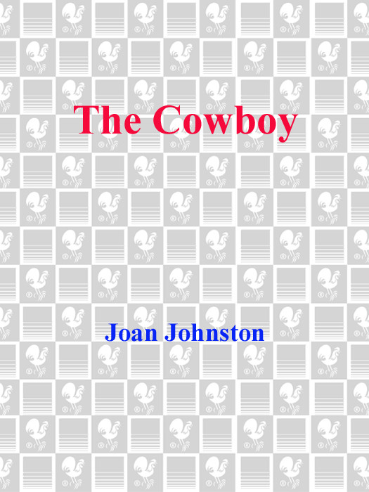 The Cowboy Joan Johnston