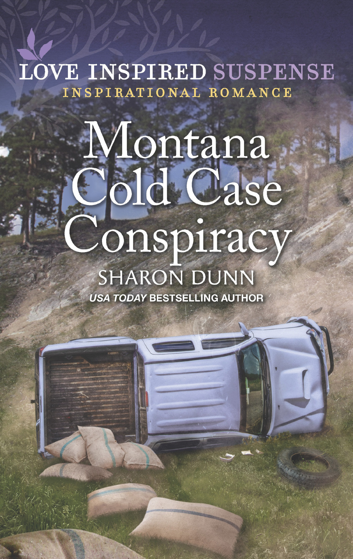 Montana Cold Case Conspiracy Sharon Dunn
