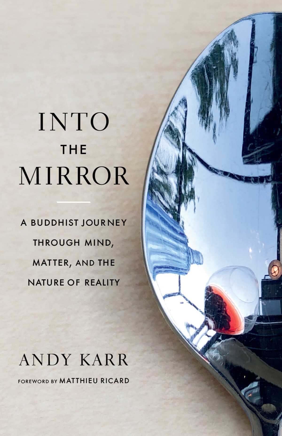 Into The Mirror A Buddhist Journey Through Mind Matter And The Nature Of Reality Andy Karr