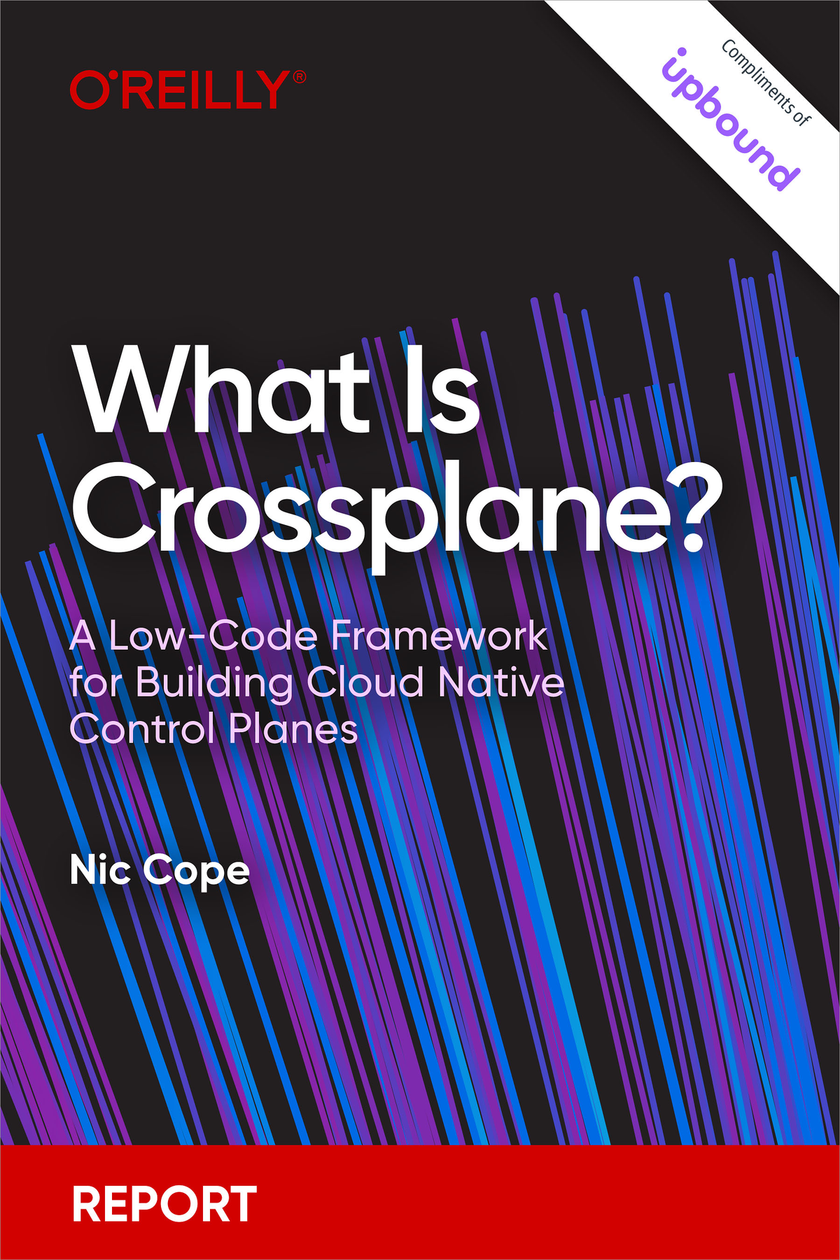 What Is Crossplane A Lowcode Framework For Building Cloud Native Control Planes Nic Cope