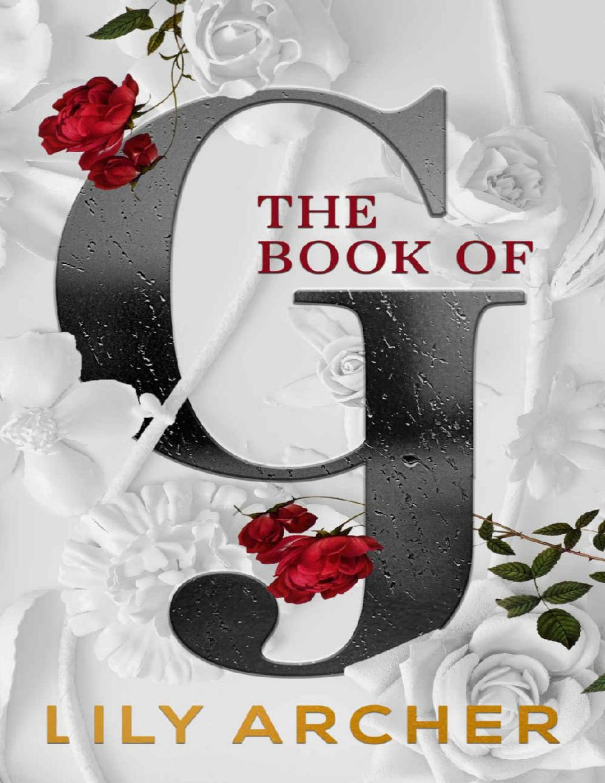 The Book Of G Lily Archer