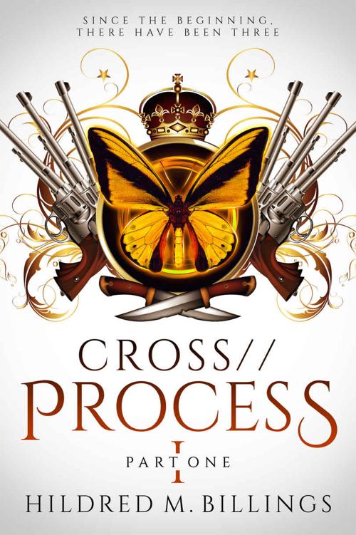 Process Part 1 Crossprocess Hildred M Billings