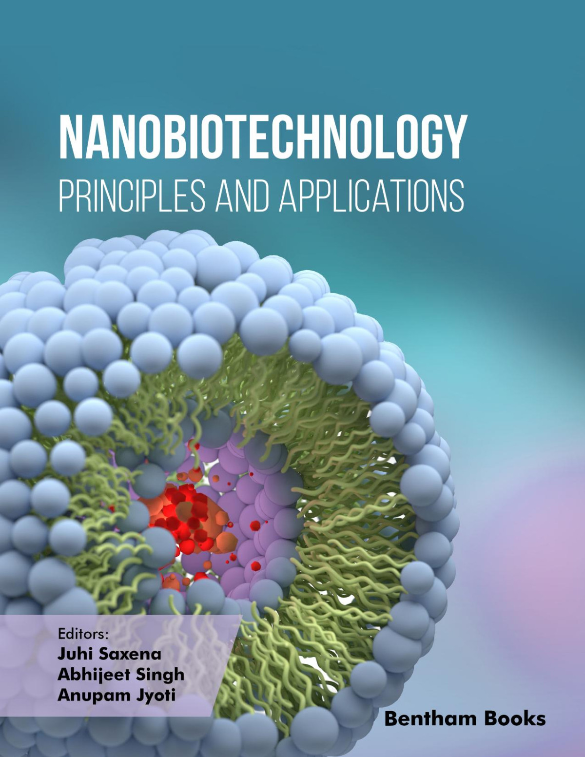 Nanobiotechnology Principles And Applications Saxena Juhisingh