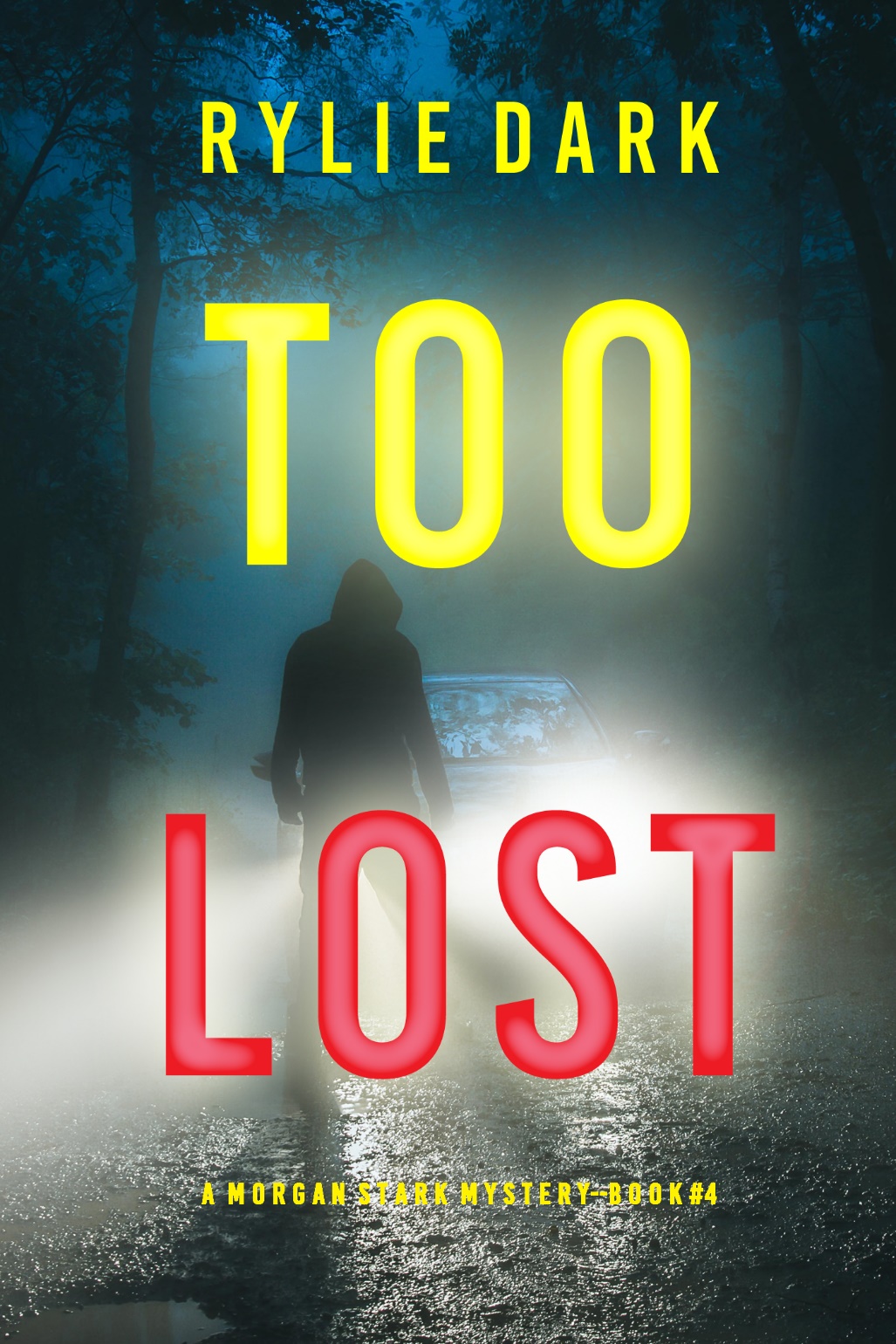 Too Lost Rylie Dark