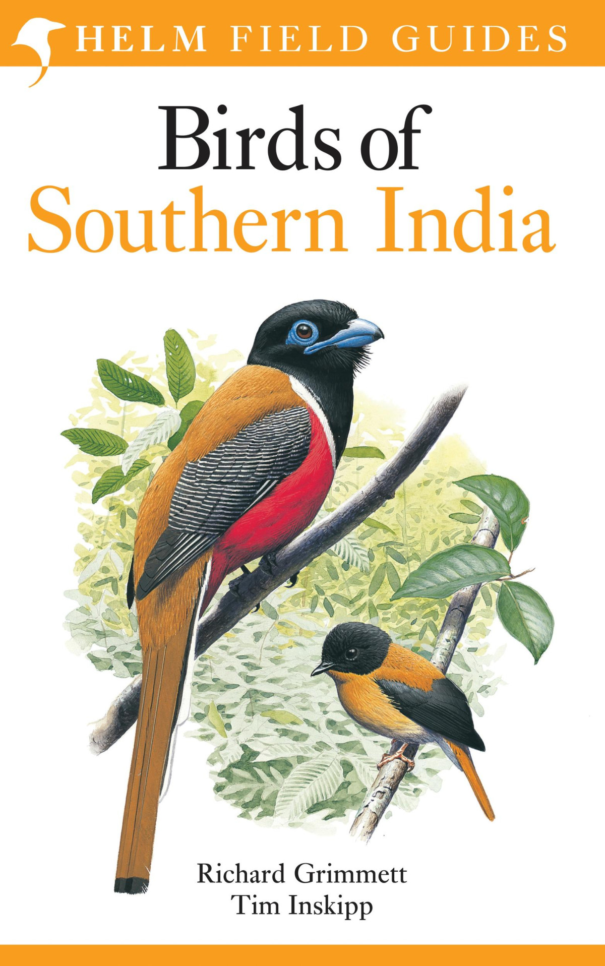 Birds Of Southern India Richard Grimmett Tim Inskipp