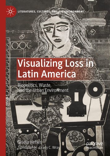 Visualizing Loss In Latin America Biopolitics Waste And The Urban Environment 1st Ed 2023 Gisela Heffes