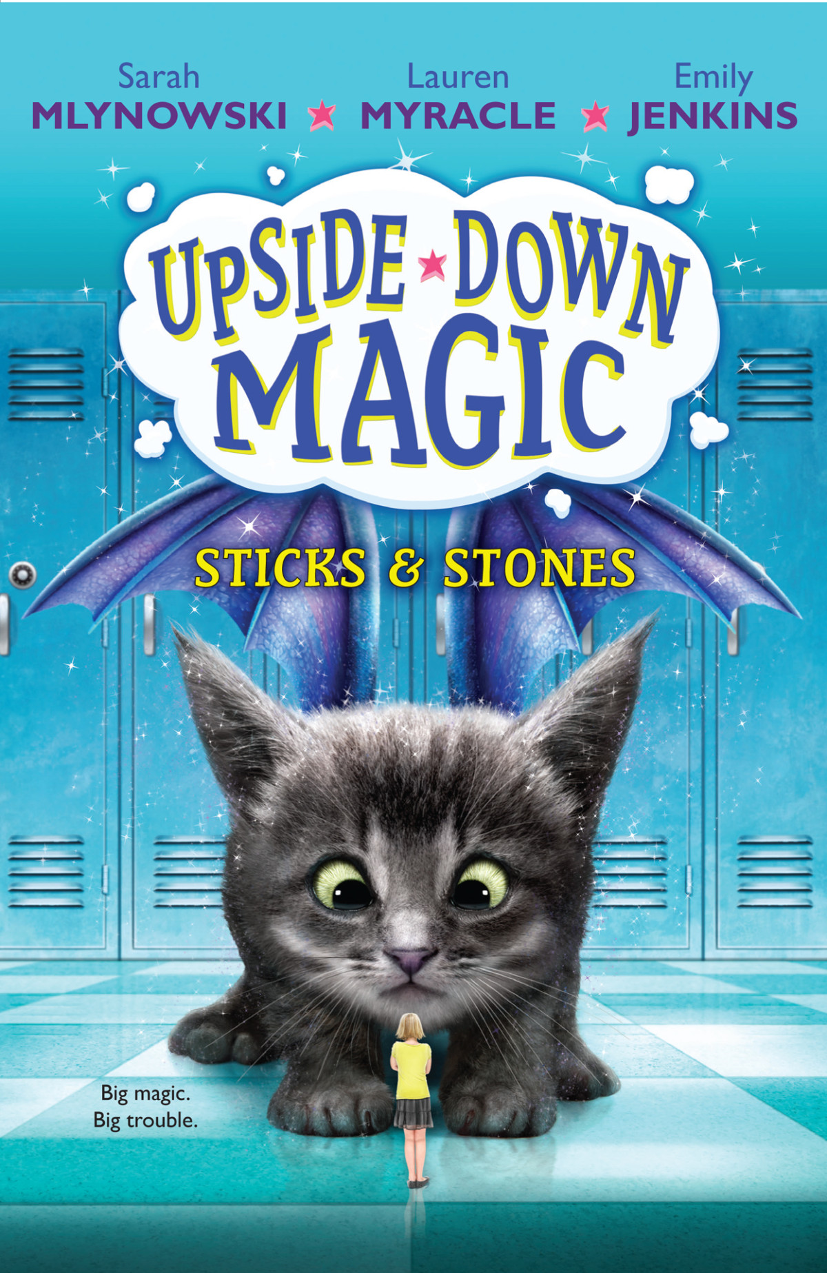 Sticks Stones Sarah Mlynowski Emily Jenkins