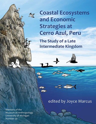 Coastal Ecosystems And Economic Strategies At Cerro Azul Peru The Study Of A Late Intermediate Kingdom Joyce Marcus