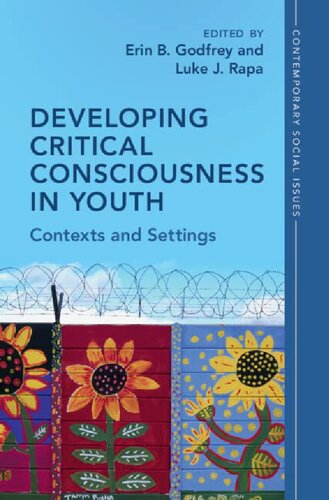 Developing Critical Consciousness In Youth Contexts And Settings Erin B Godfrey