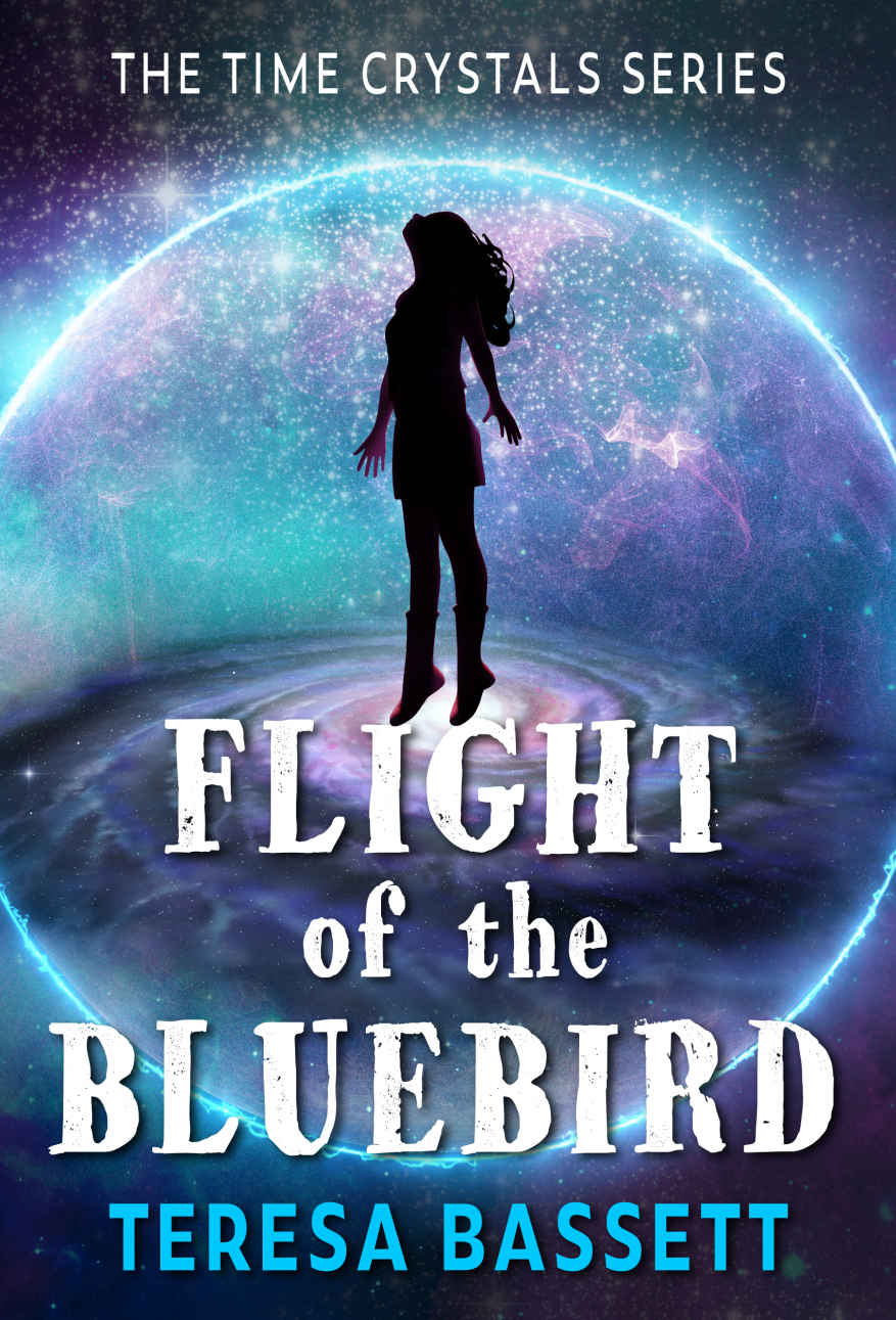 Flight Of The Bluebird Teresa Bassett