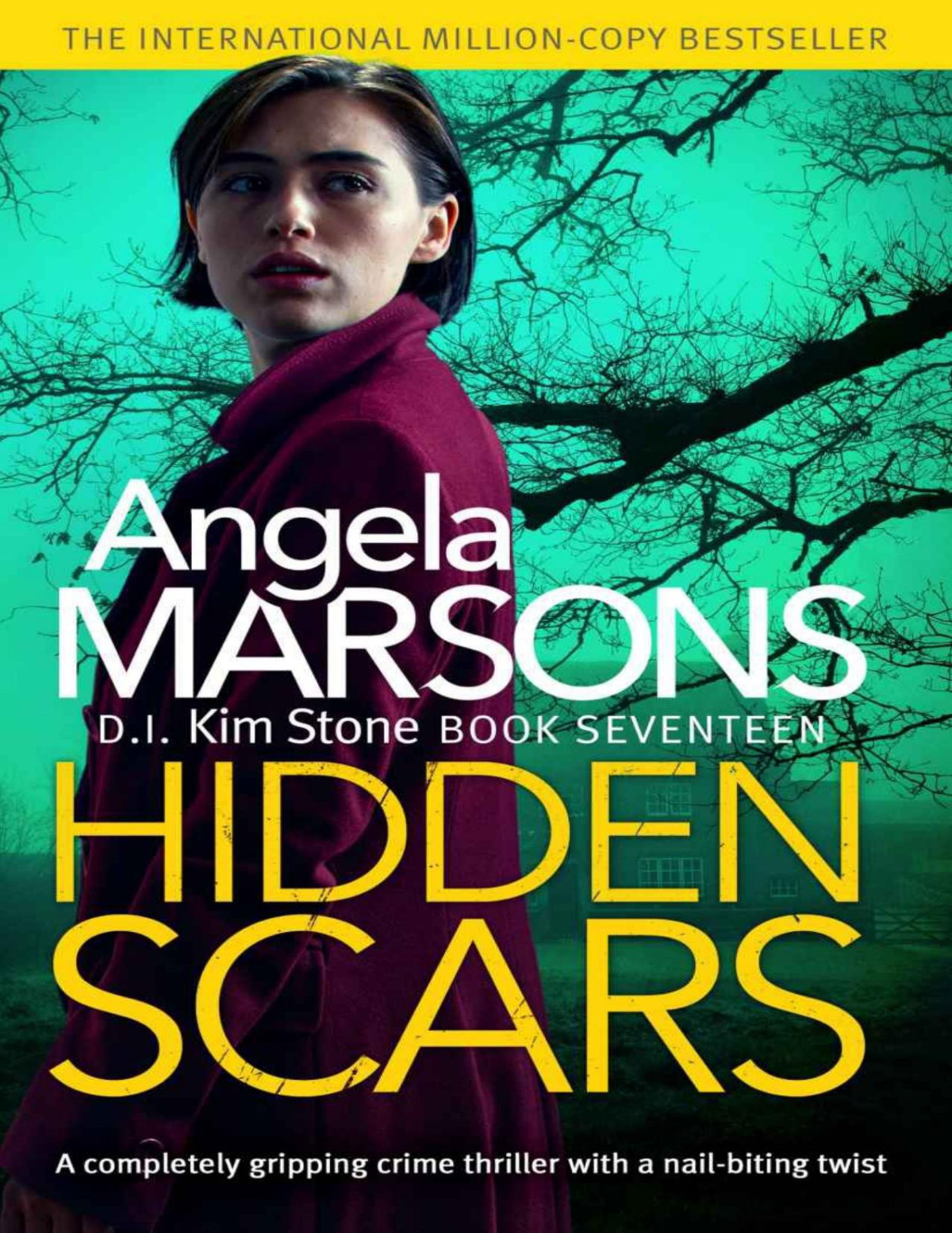 Hidden Scars Angela Marsons