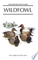Wildfowl An Identification Guide To The Ducks Geese And Swans Of The World Steve Madge