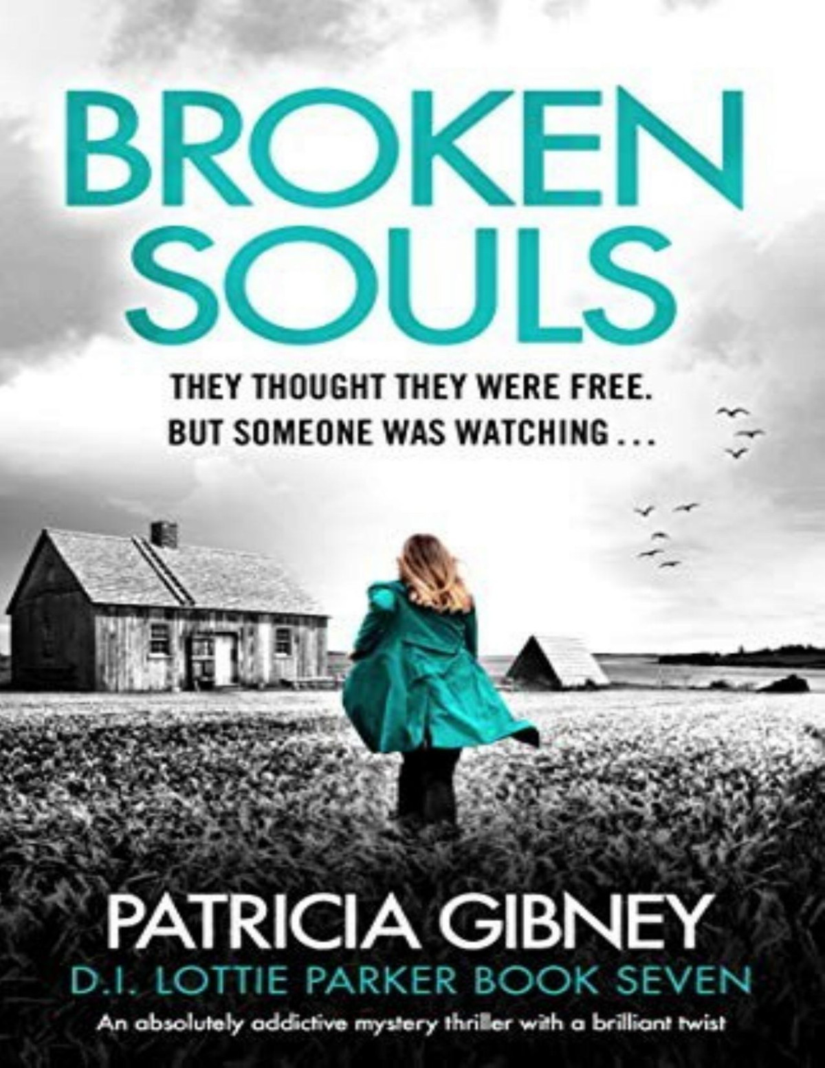 Broken Souls Patricia Gibney
