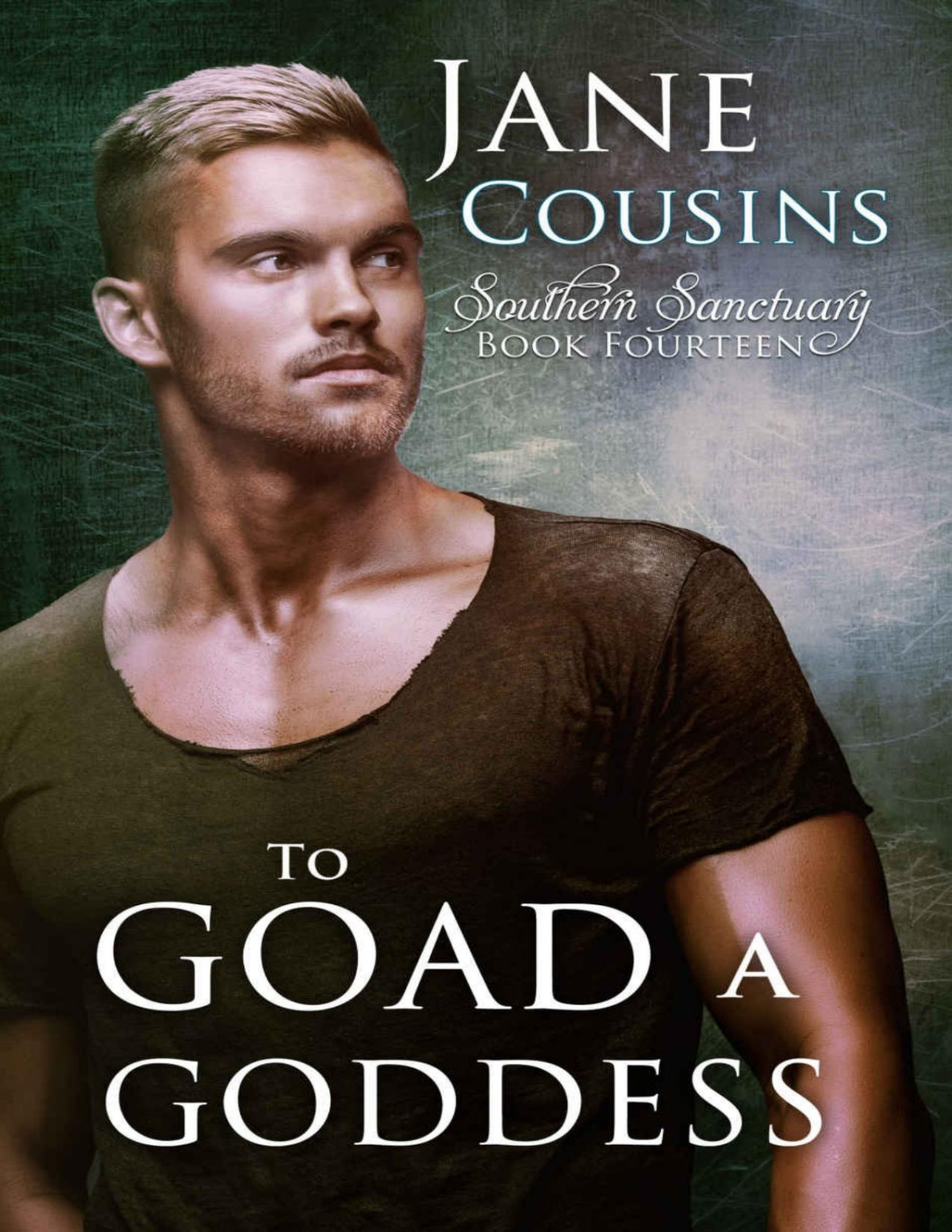 To Goad A Goddess Southern Sanctuary Book 14 Jane Cousins