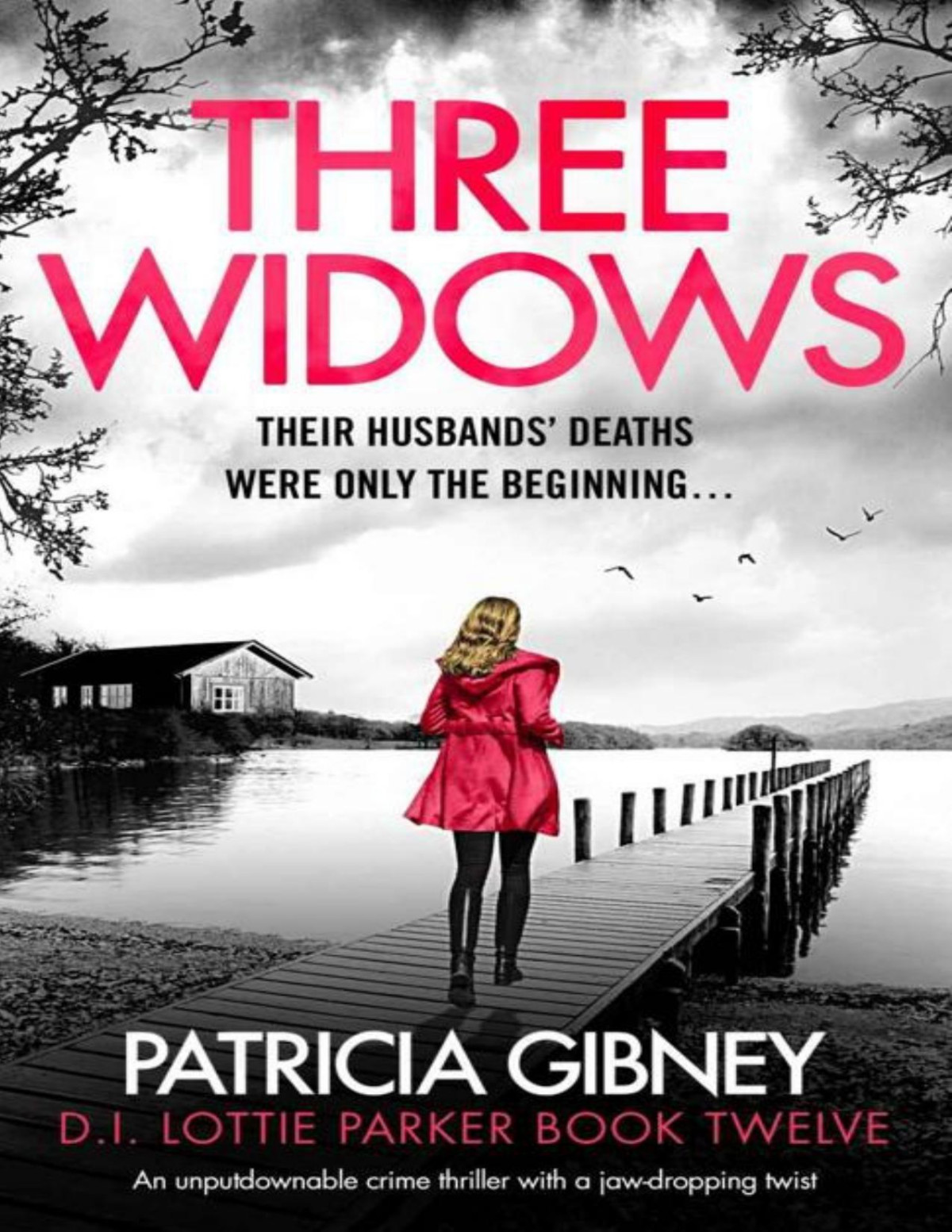 Three Widows An Unputdownable Crime Thriller With A Jawdropping Twist Detective Lottie Parker Book 12 Patricia Gibney