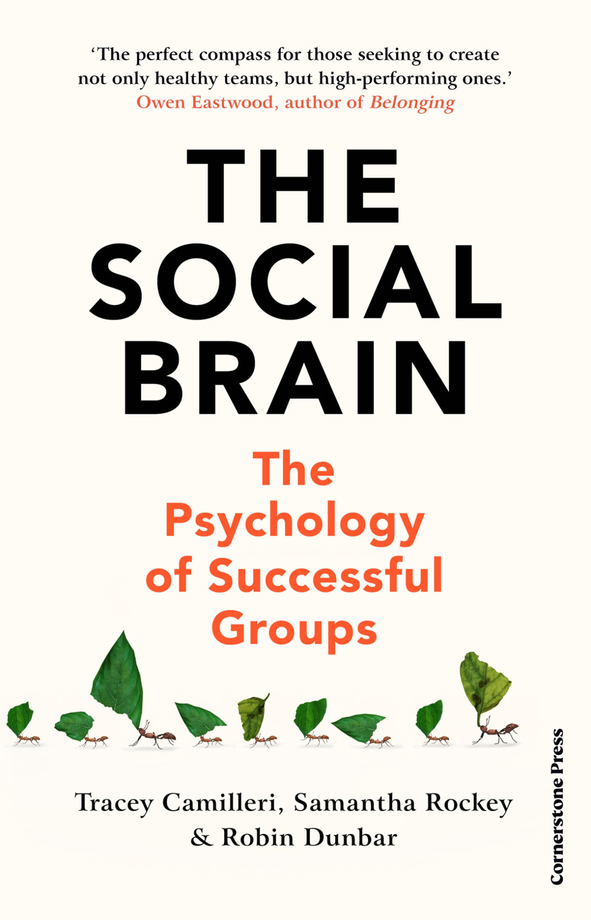 The Social Brain The Psychology Of Successful Groups Tracey Camilleri Samantha Rockey Robin Dunbar