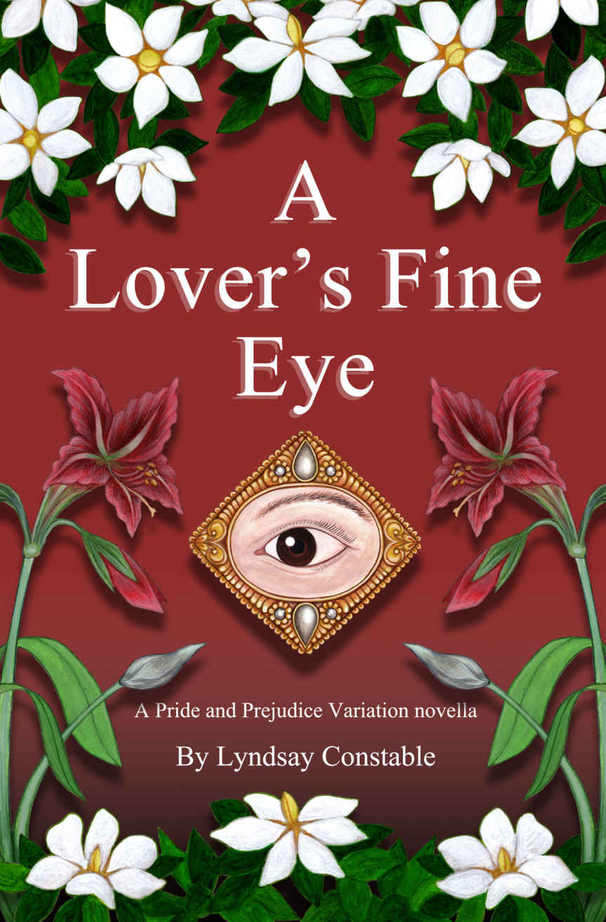 A Lovers Fine Eye A Pride And Prejudice Variation Novella Lyndsay Constable