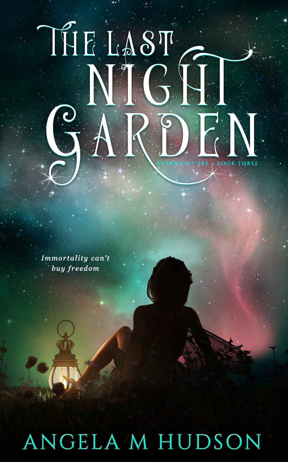 The Last Night Garden Angela M Hudson