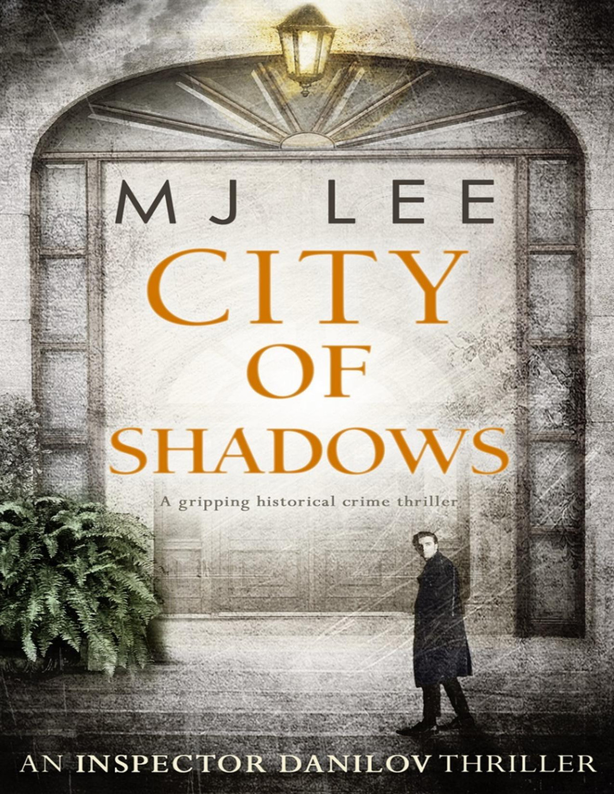 City Of Shadows M J Lee