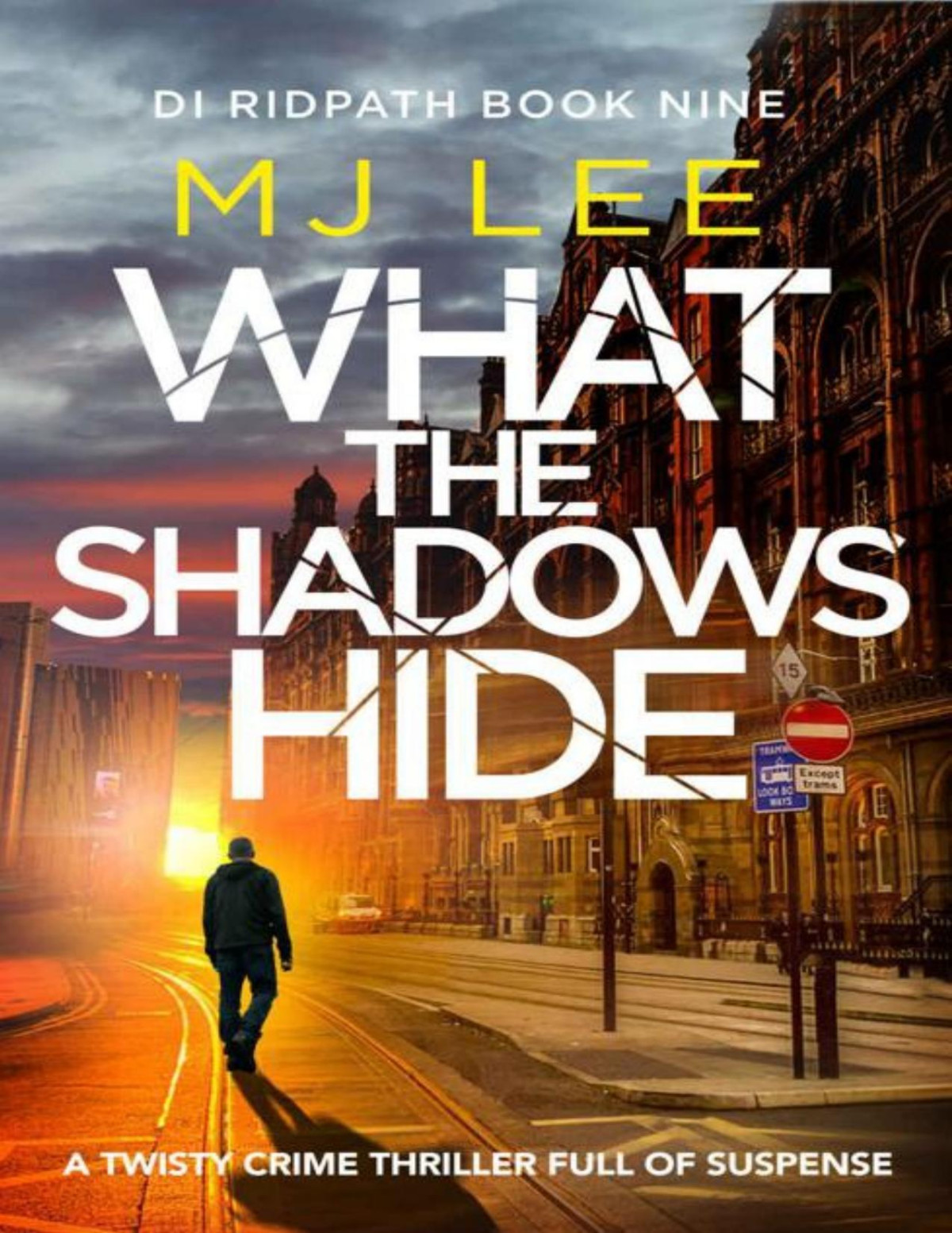 What The Shadows Hide Di Ridpath Crime Thriller Book 9 M J Lee