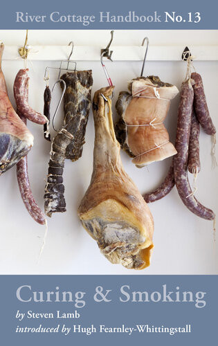 Curing Smoking Steven Lamb