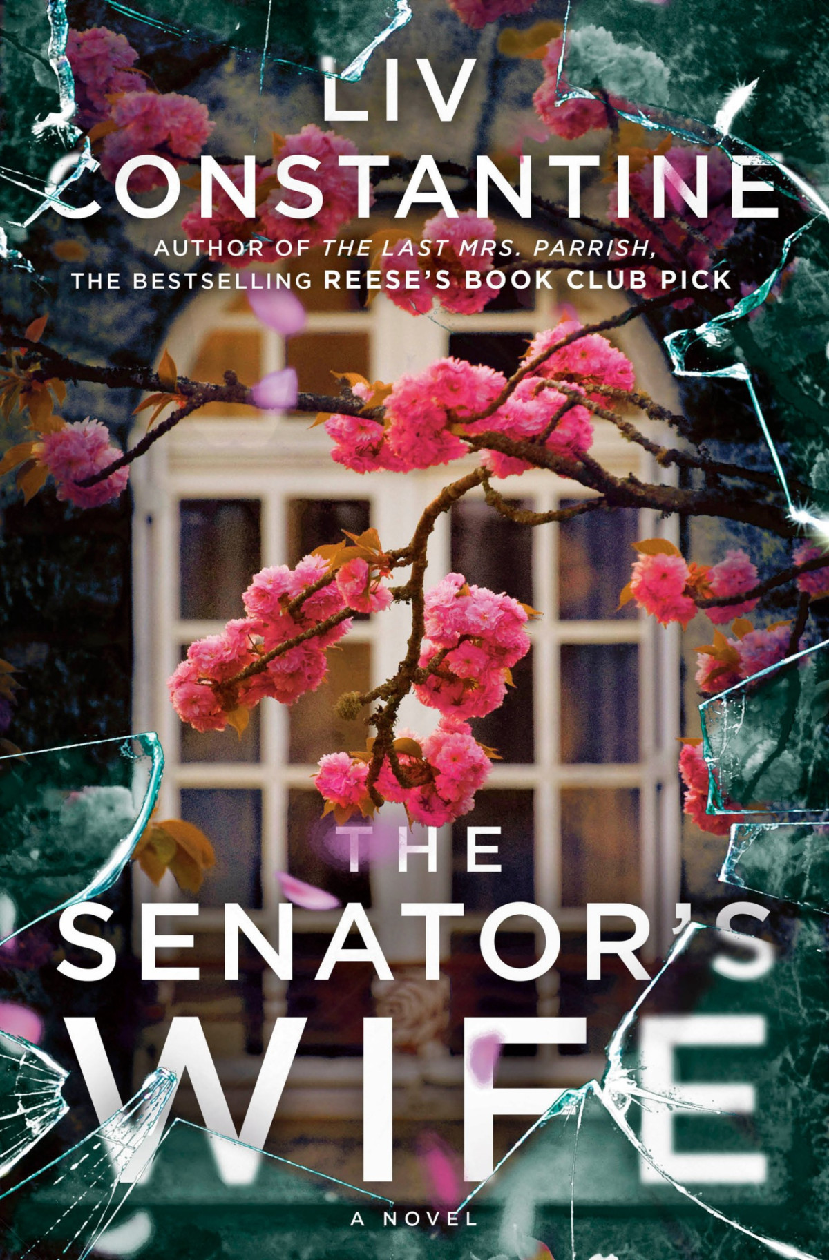 The Senators Wife A Novel Liv Constantine