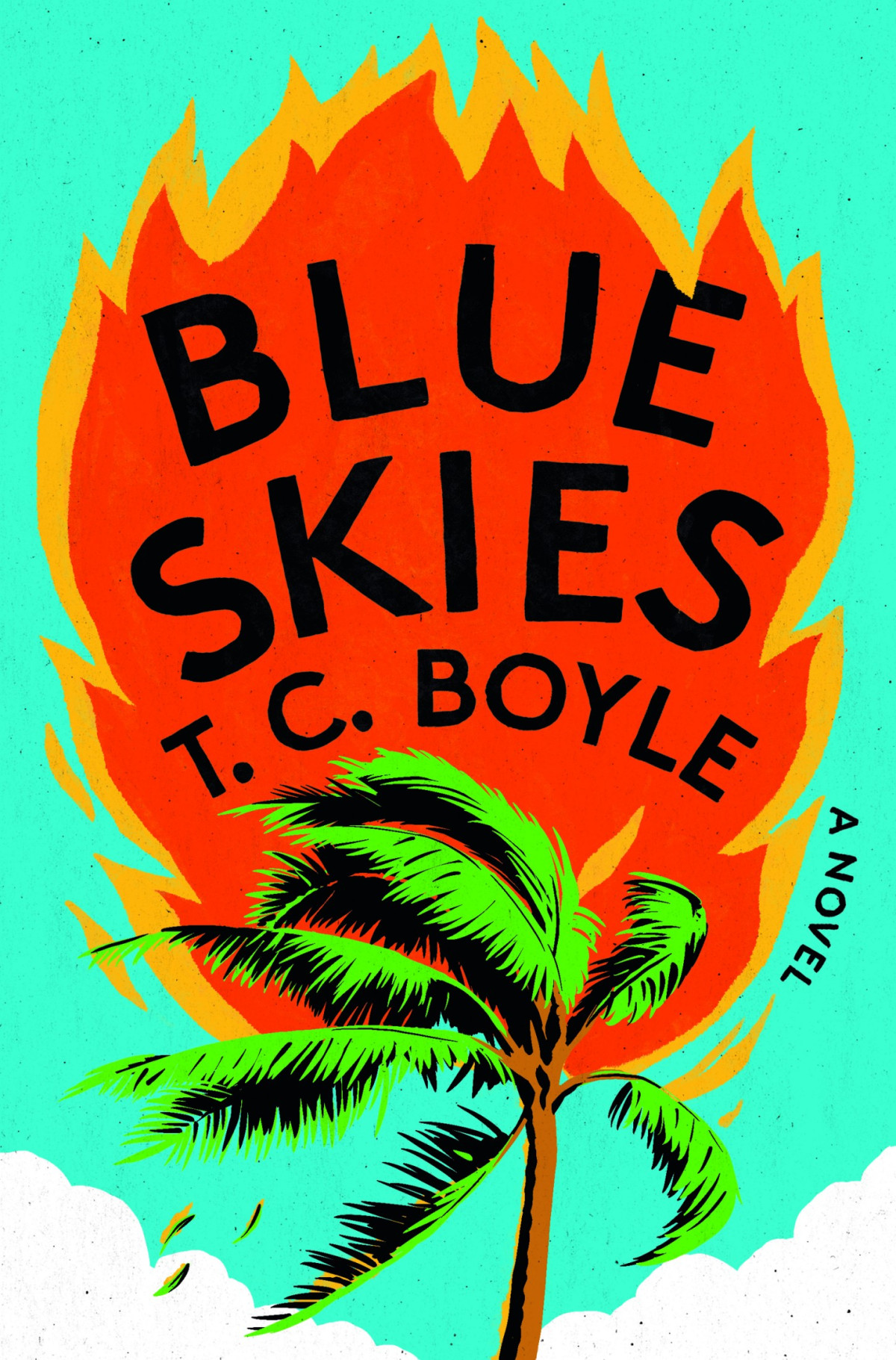 Blue Skies T C Boyle
