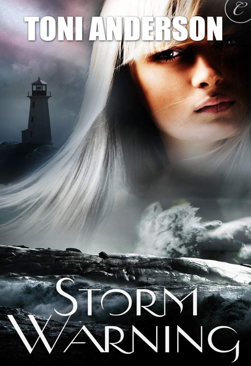 Storm Warning Toni Anderson