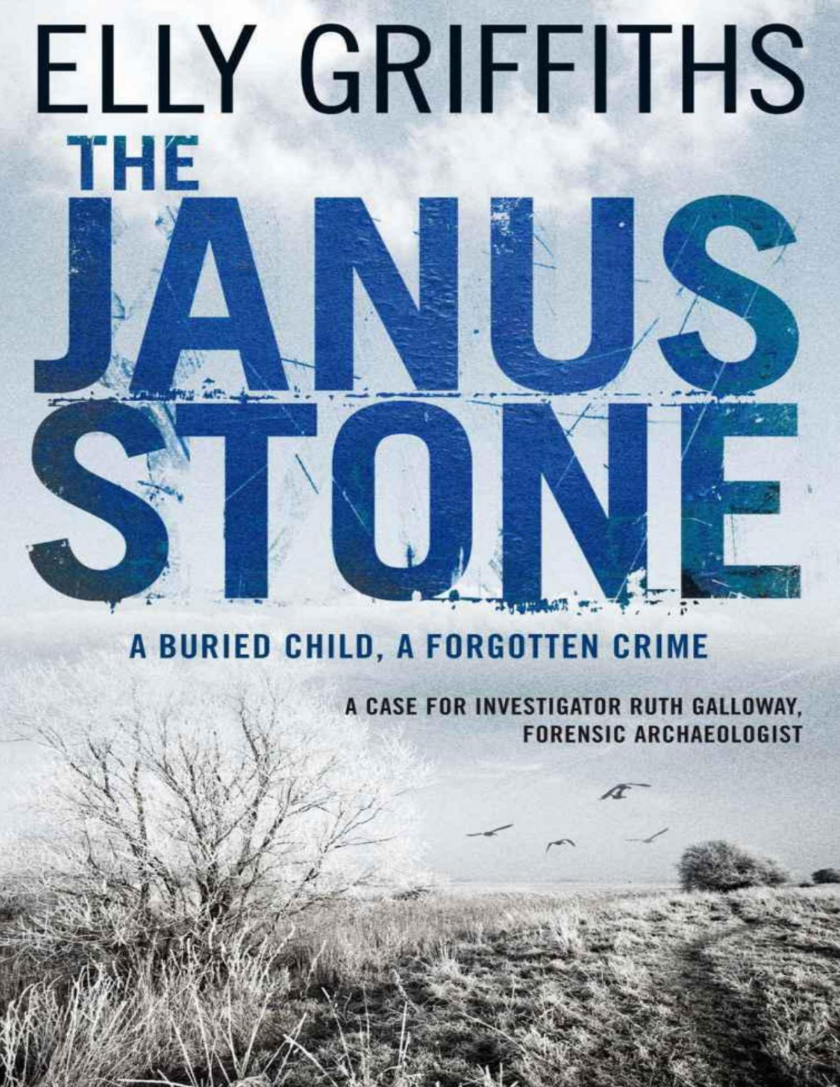 The Janus Stone Ruth Galloway Mystery 2 Elly Griffiths
