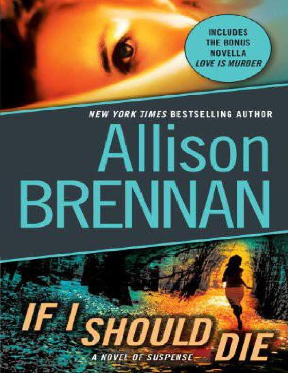 If I Should Die Allison Brennan