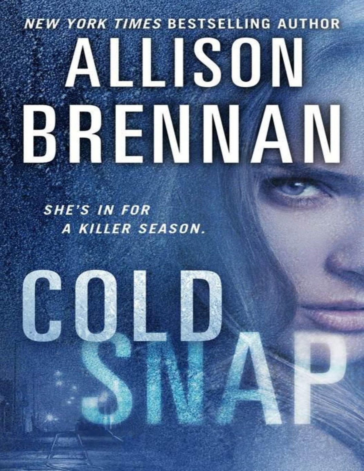 Cold Snap Allison Brennan