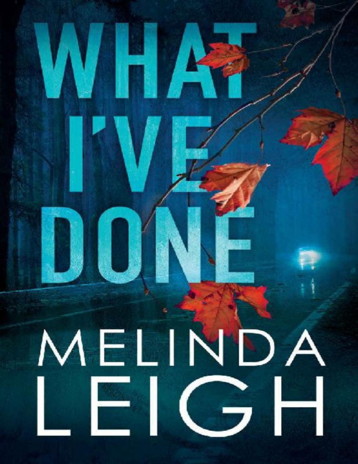 What Ive Done Morgan Dane Book 4 Melinda Leigh