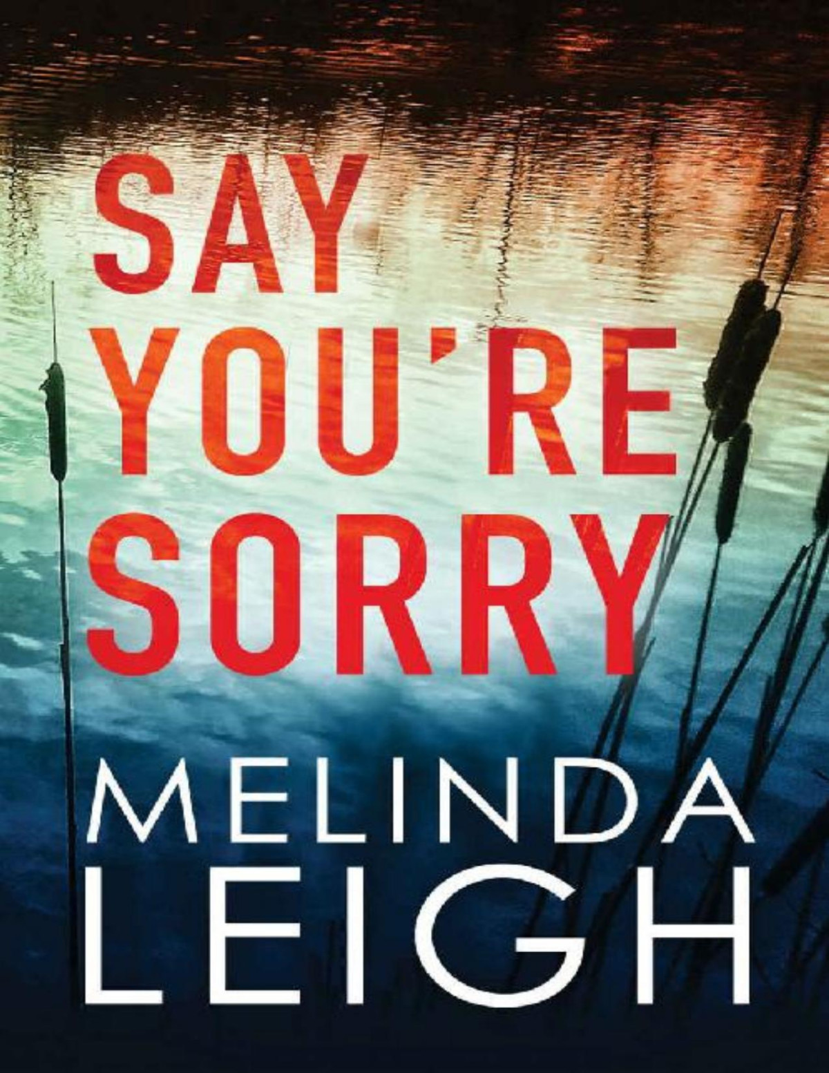 Say Youre Sorry Melinda Leigh