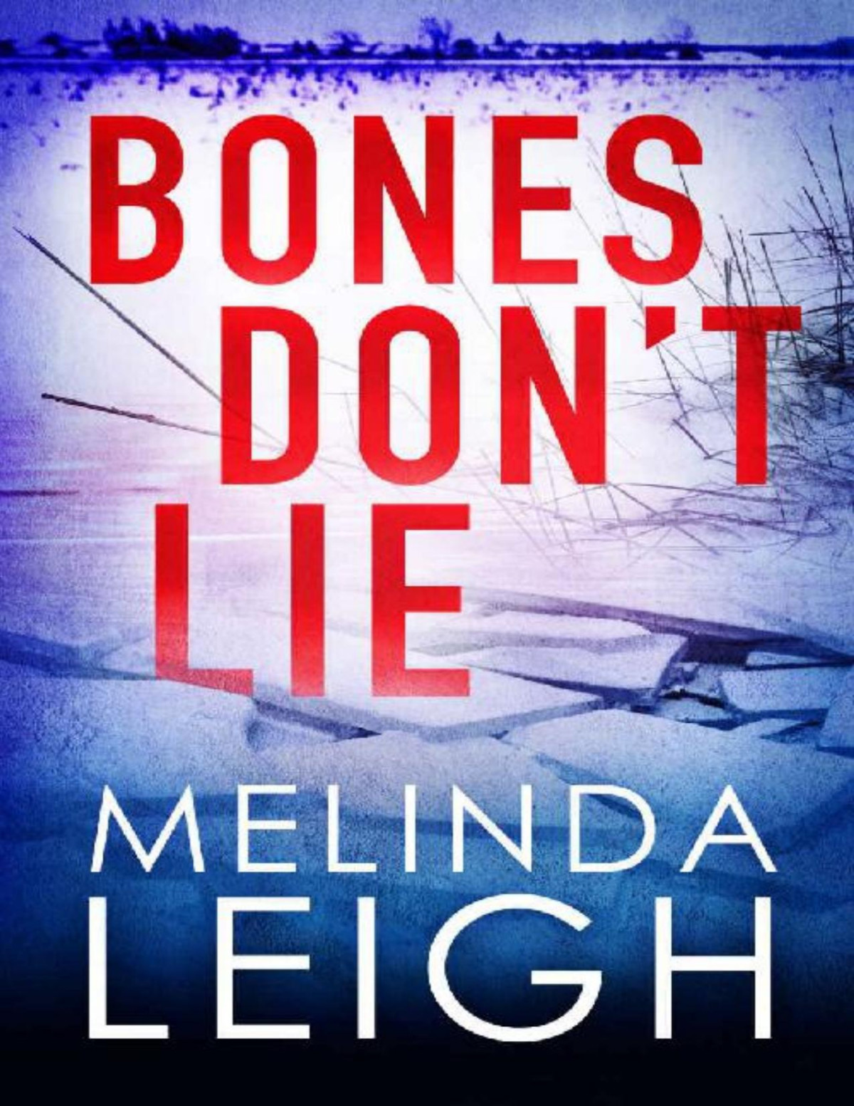 Bones Dont Lie Melinda Leigh