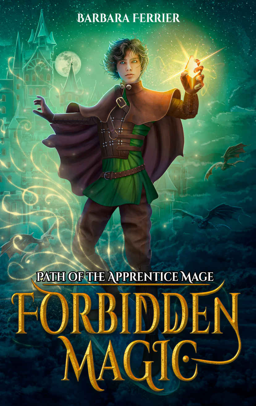 Forbidden Magic Barbara Ferrier