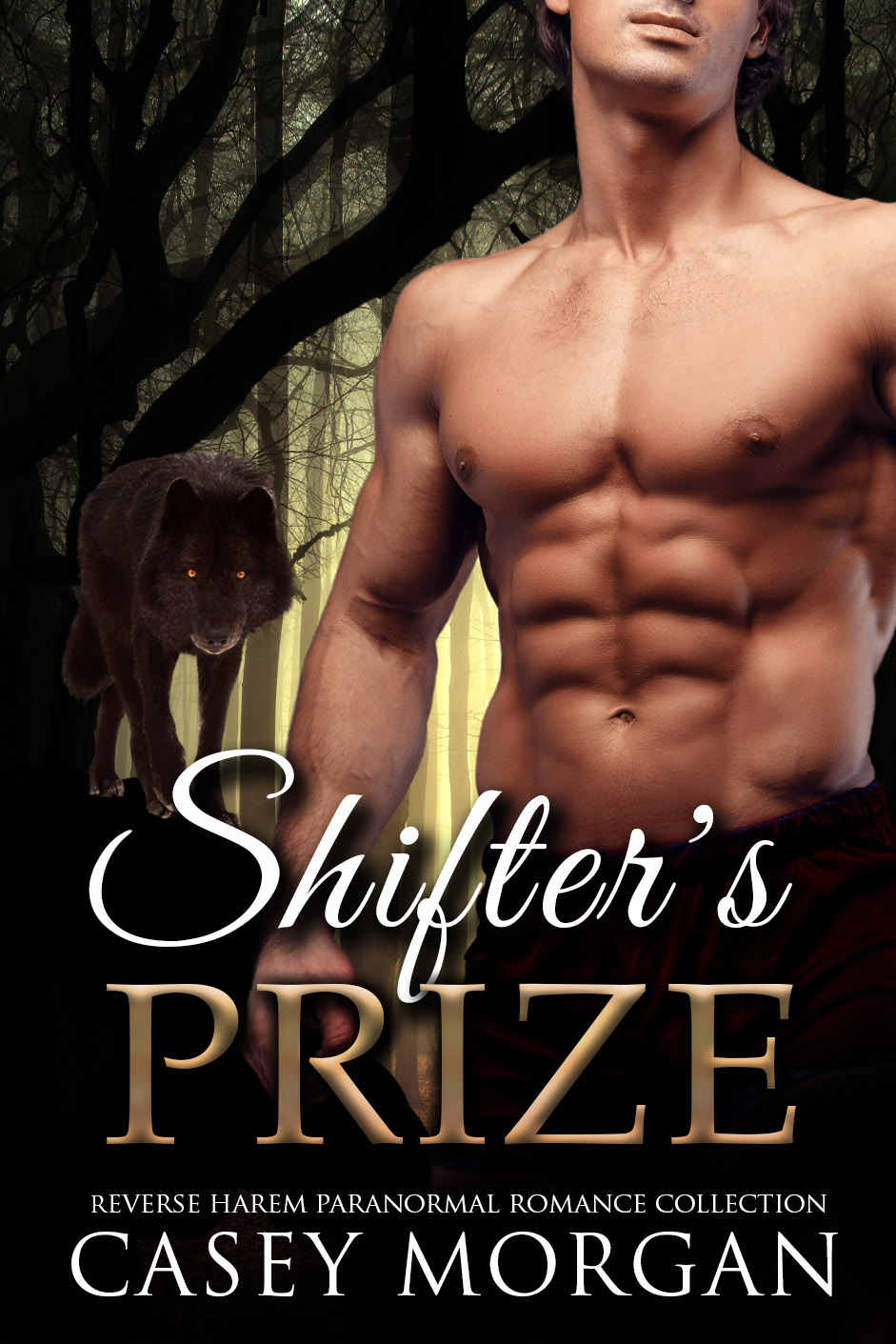 Shifters Prize Shifter Collections 4 1st Edition Morgan Casey