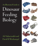An Illustrated Guide To Dinosaur Feeding Biology Ali Nabavizadeh