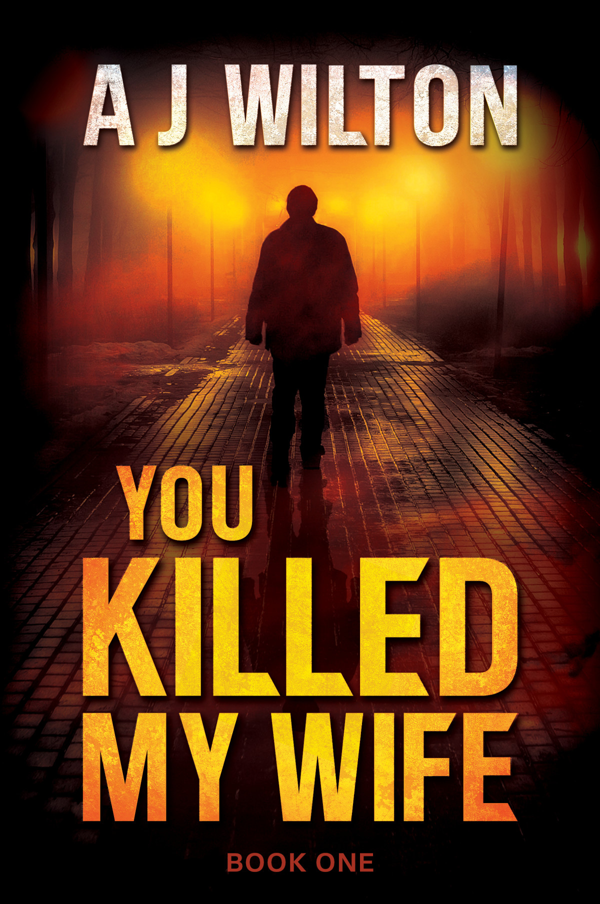 You Killed My Wife 1st Edition A J Wilton