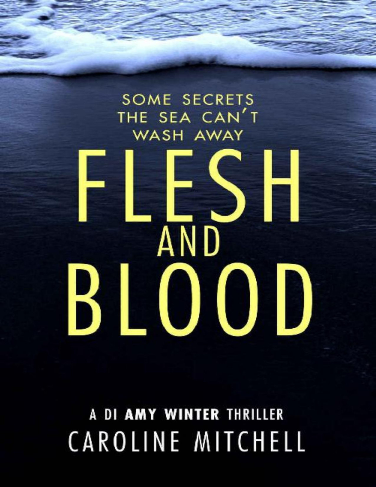 Flesh And Blood A Di Amy Winter Thriller Caroline Mitchell