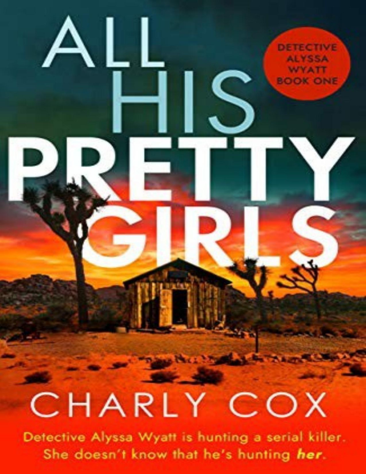 All His Pretty Girls Charly Cox