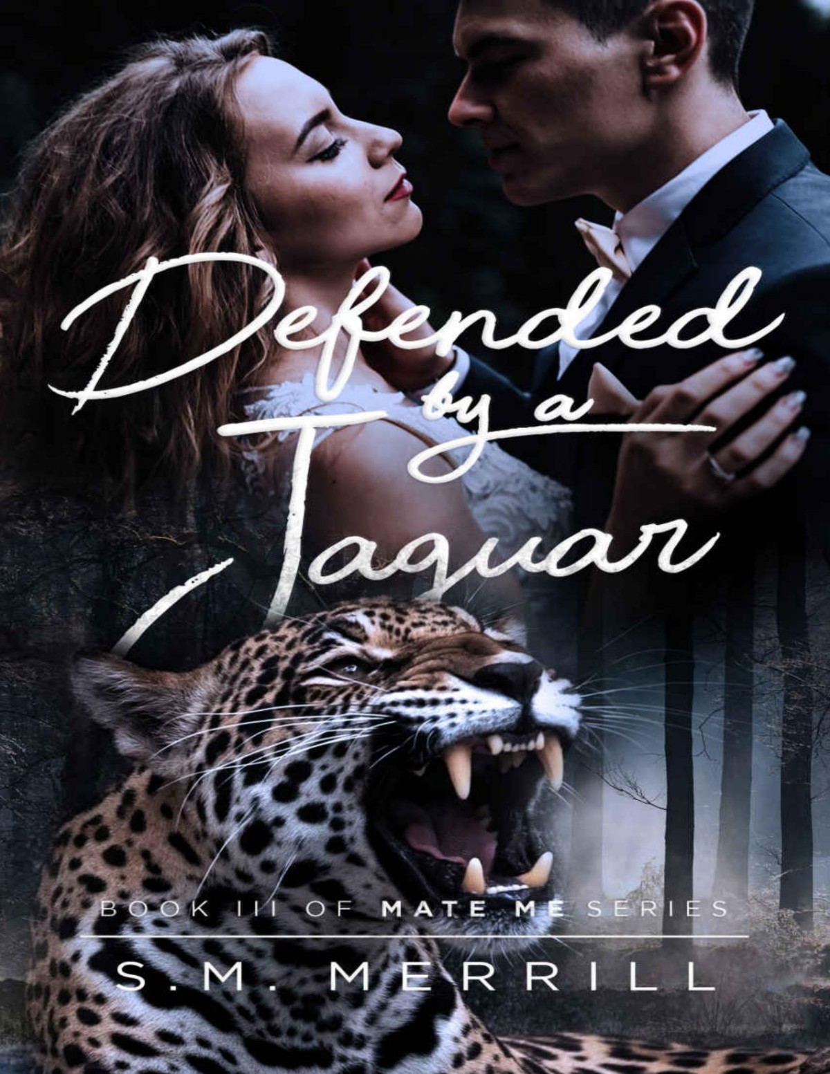 Defended By A Jaguar Mate Me Book 4 Sm Merrill
