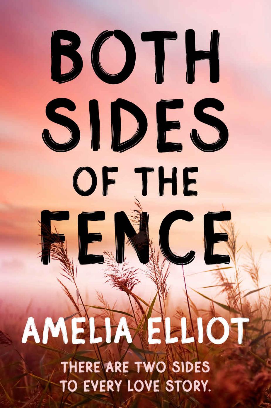 Both Sides Of The Fence Thunderstruck Book 1 Amelia Elliot