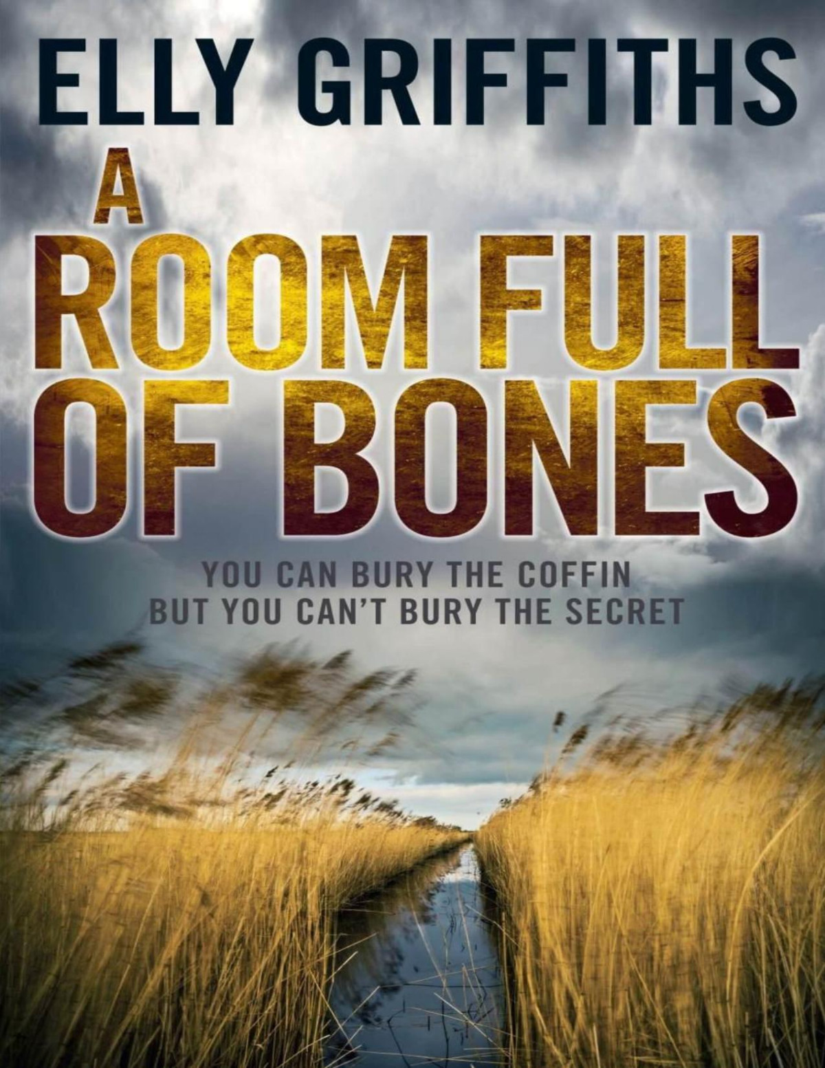 A Room Full Of Bones Ruth Galloway Mystery 4 Elly Griffiths