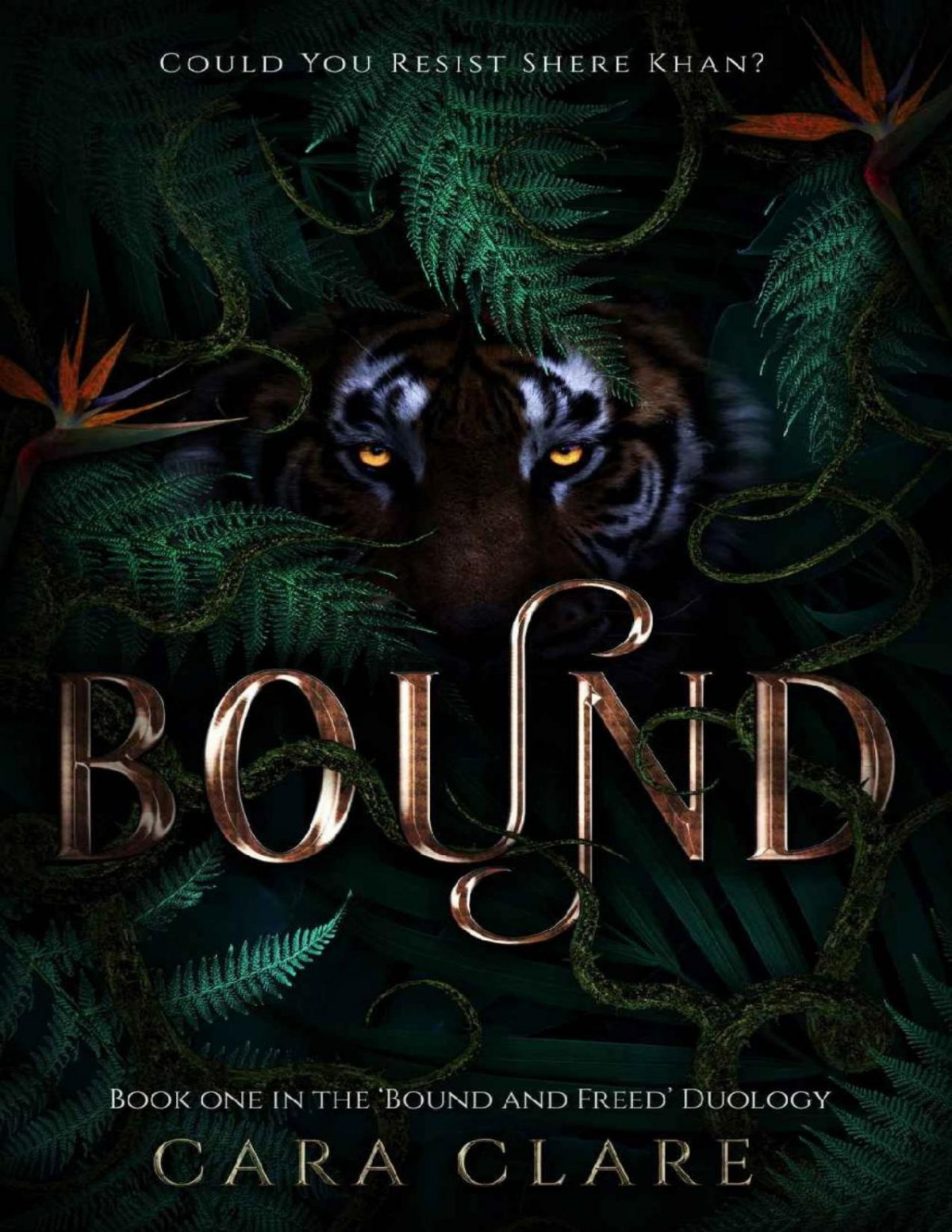 Bound Book One In The Bound Freed Duology Corrupted Classics 1 Cara Clare