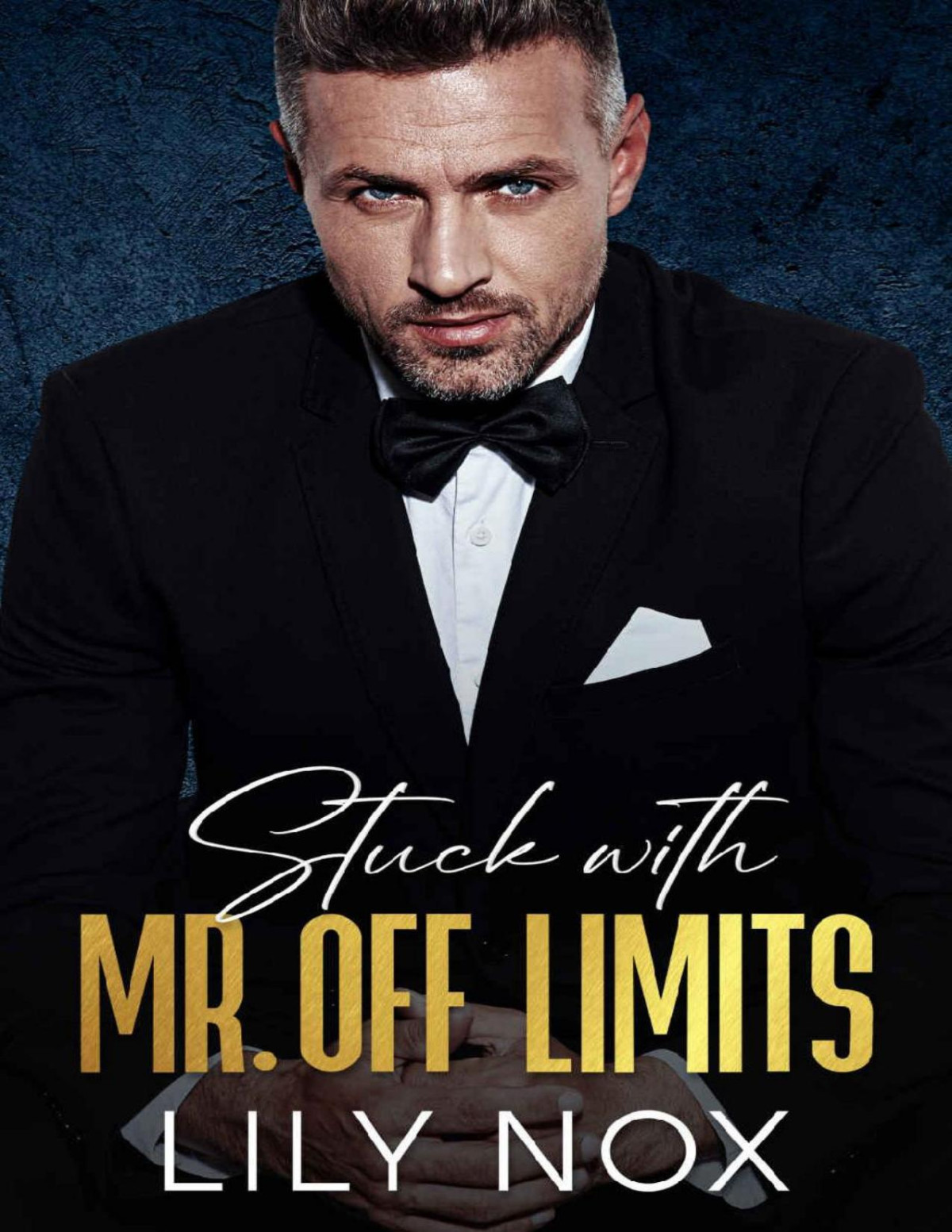 Stuck With Mr Off Limits Lily Nox